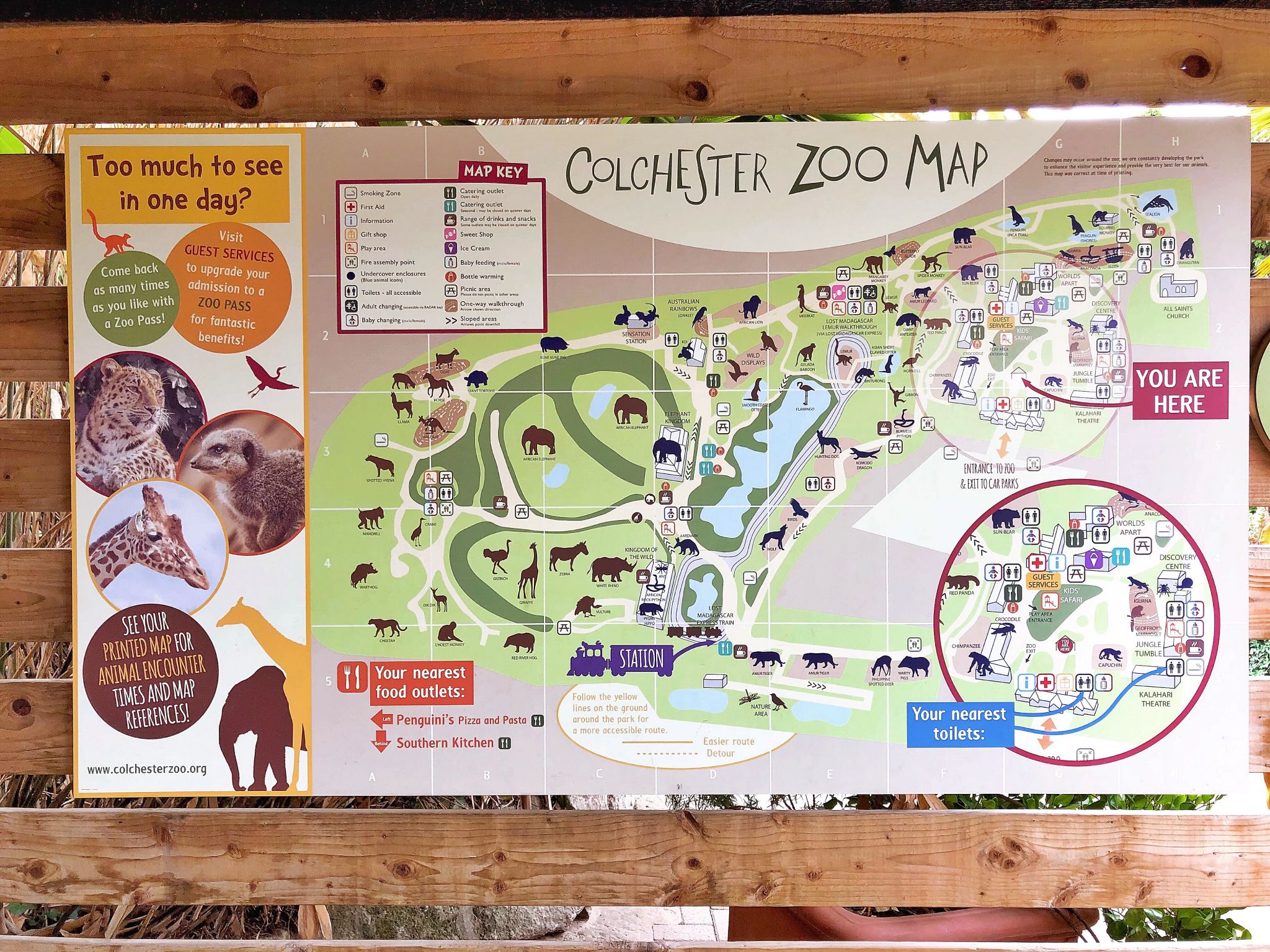 Colchester Zoo Family Day Out