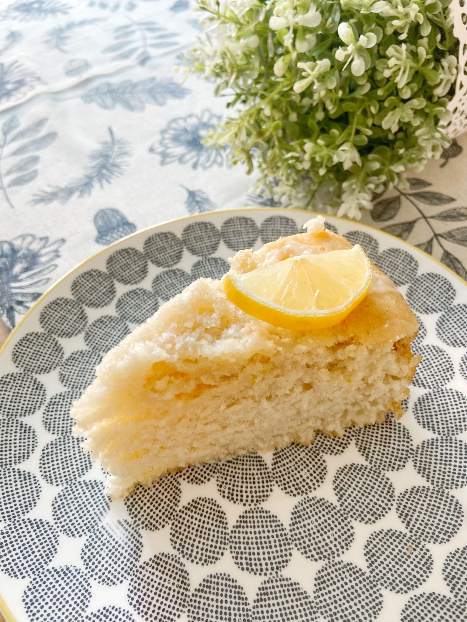 Vegan Lemon + Coconut Cake